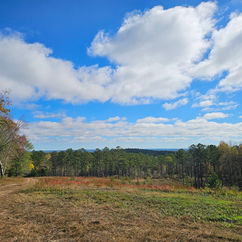 High Point Preserve photo