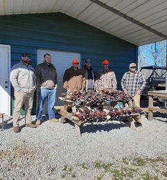High Point Quail Hunting Preserve
