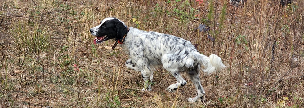 High Point Preserve grounds