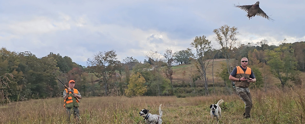 High Point Quail Hunting Preserve