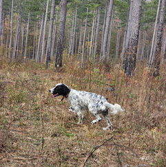 High Point Preserve photo